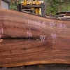 Goby Walnut Green Slabs 110418-08 Oregon Black Walnut Slab