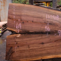 Goby Walnut Green Slabs 110418-08 Oregon Black Walnut Slab