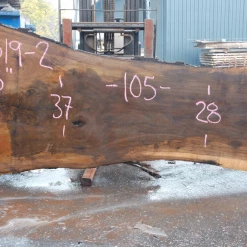 Goby Walnut 110519-02 Oregon Black Walnut