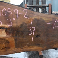 Goby Walnut 110519-02 Oregon Black Walnut