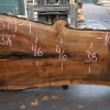 Goby Walnut 110519-09 Oregon Black Walnut Green Slabs