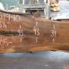 Goby Walnut Green Slabs 110519-10 Oregon Black Walnut