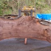 Goby Walnut Green Slabs 110618-01 Oregon Black Walnut Slab