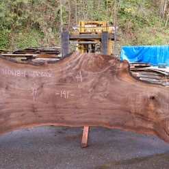 Goby Walnut Green Slabs 110618-01 Oregon Black Walnut Slab