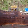 Goby Walnut 110618-03 Oregon Black Walnut Slab