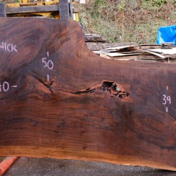 Goby Walnut 110618-03 Oregon Black Walnut Slab