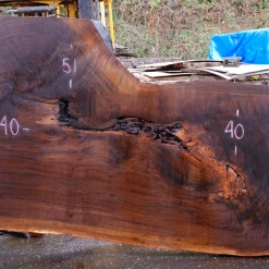 Goby Walnut Green Slabs 110618-04 Oregon Black Walnut Slab