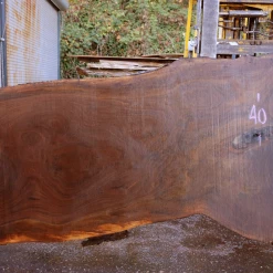 Goby Walnut 110618-10 Oregon Black Walnut Slab