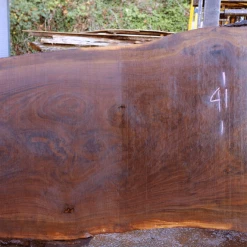 Goby Walnut 110618-11 Oregon Black Walnut Slab