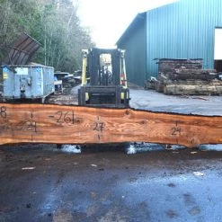 Goby Walnut Green Slabs Oregon Fir Slab 110816-08