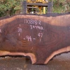 Goby Walnut 110818-02 Oregon Black Walnut Slab Green Slabs