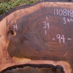Goby Walnut 110818-02 Oregon Black Walnut Slab Green Slabs
