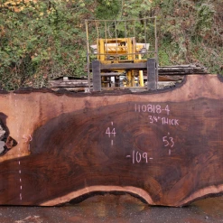 Goby Walnut 110818-04 Oregon Black Walnut Slab Green Slabs
