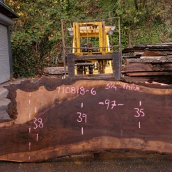 Goby Walnut Green Slabs 110818-06 Oregon Black Walnut Slab
