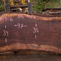 Goby Walnut Green Slabs 110818-06 Oregon Black Walnut Slab