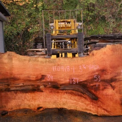 Goby Walnut Products 110918-01 Sycamore Slab