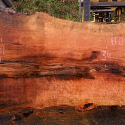 Goby Walnut Products 110918-01 Sycamore Slab