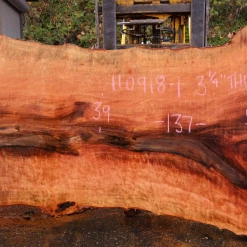 Goby Walnut Products 110918-01 Sycamore Slab