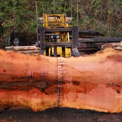 Goby Walnut Products 110918-02 Sycamore Slab