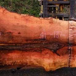 Goby Walnut Products 110918-02 Sycamore Slab