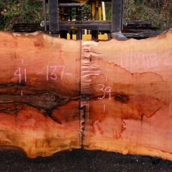 Goby Walnut Products 110918-02 Sycamore Slab