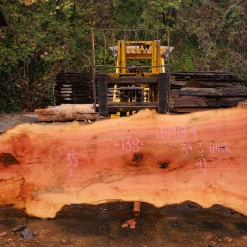 Goby Walnut Products Green Slabs 110918-04 Sycamore Slab