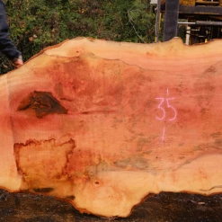 Goby Walnut Products Green Slabs 110918-04 Sycamore Slab