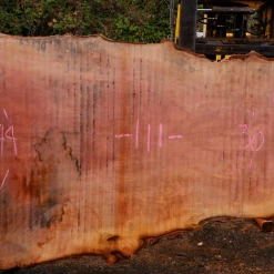 Goby Walnut Products 110918-06 Sycamore Slab Green Slabs