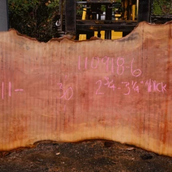 Goby Walnut Products 110918-06 Sycamore Slab Green Slabs