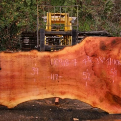 Goby Walnut Products 110918-07 Sycamore Slab