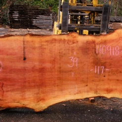 Goby Walnut Products 110918-07 Sycamore Slab