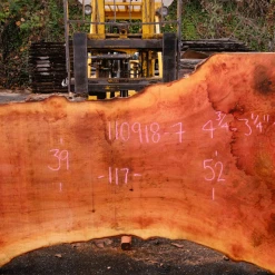 Goby Walnut Products 110918-07 Sycamore Slab