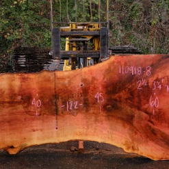 Goby Walnut Products 110918-08 Sycamore Slab