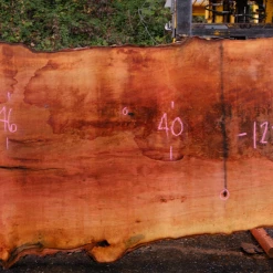 Goby Walnut Products 110918-08 Sycamore Slab