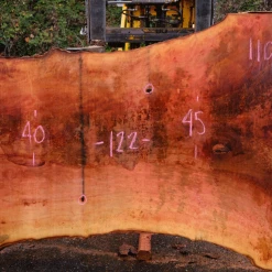 Goby Walnut Products 110918-08 Sycamore Slab