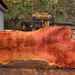 Goby Walnut Products Green Slabs 110918-09 Sycamore Slab