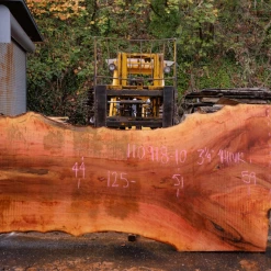 Goby Walnut Products 110918-10 Sycamore Slab