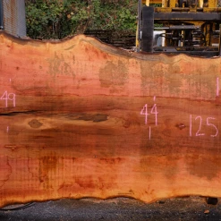 Goby Walnut Products 110918-10 Sycamore Slab