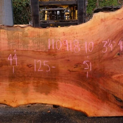 Goby Walnut Products 110918-10 Sycamore Slab