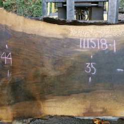 Goby Walnut 111518-01 Oregon Black Walnut Slab Green Slabs