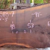 Goby Walnut 111518-07 Oregon Black Walnut Slab