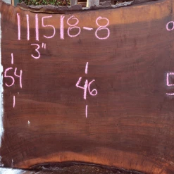 Goby Walnut 111518-08 Oregon Black Walnut Slab Green Slabs