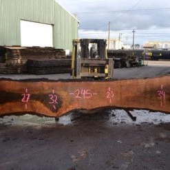 Goby Walnut Oregon Black Walnut Slab 111716-01