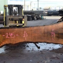 Goby Walnut Oregon Black Walnut Slab 111716-01