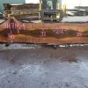 Goby Walnut Green Slabs Oregon Black Walnut Slab 111716-09