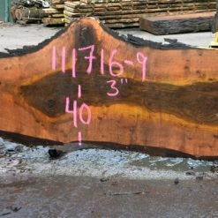 Goby Walnut Green Slabs Oregon Black Walnut Slab 111716-09