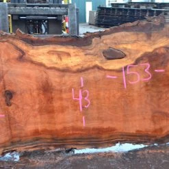 Goby Walnut Green Slabs Oregon Redwood Slab 111816-01