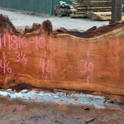 Goby Walnut Oregon Redwood Slab 111816-10 Green Slabs