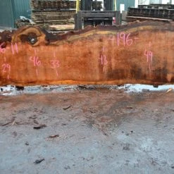 Goby Walnut Oregon Redwood Slab 111816-11