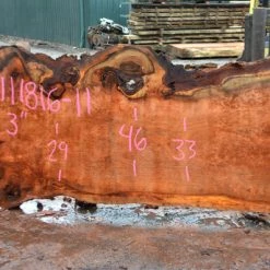 Goby Walnut Oregon Redwood Slab 111816-11